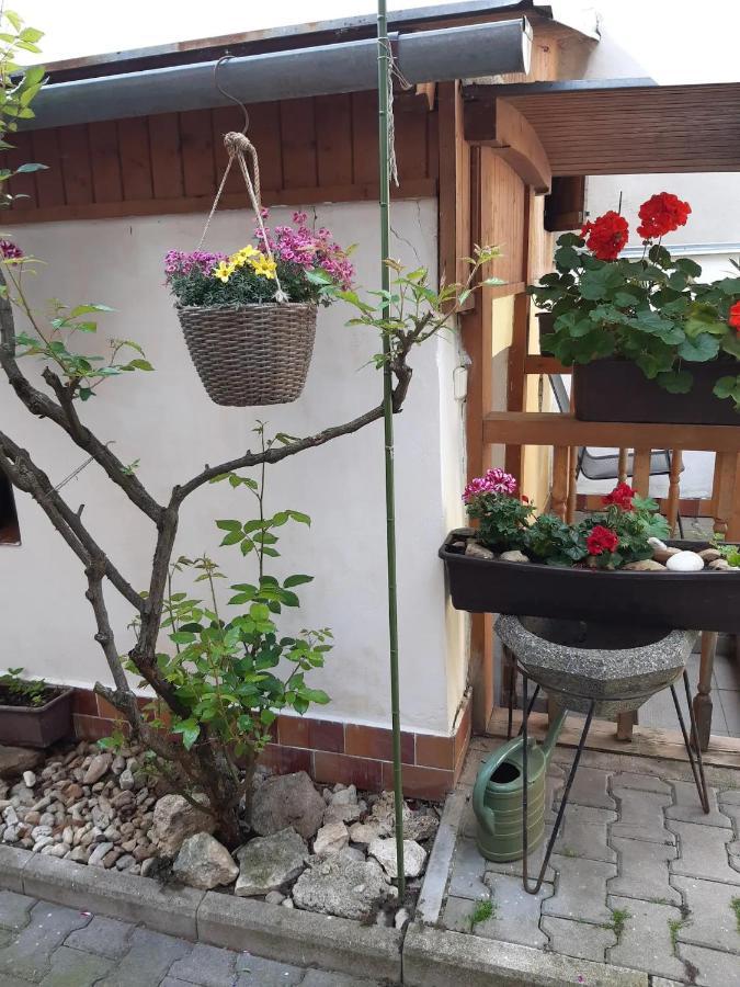발티체 U Pani Malirky 아파트 외부 사진